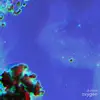 DJ Algae - Oxygen